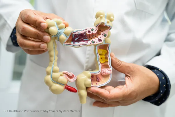 Gut Health and Performance: Why Your GI System Matters