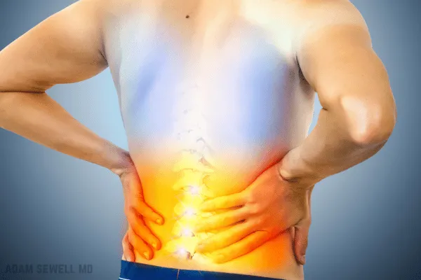 VERTEBRAL BODY FRACTURES