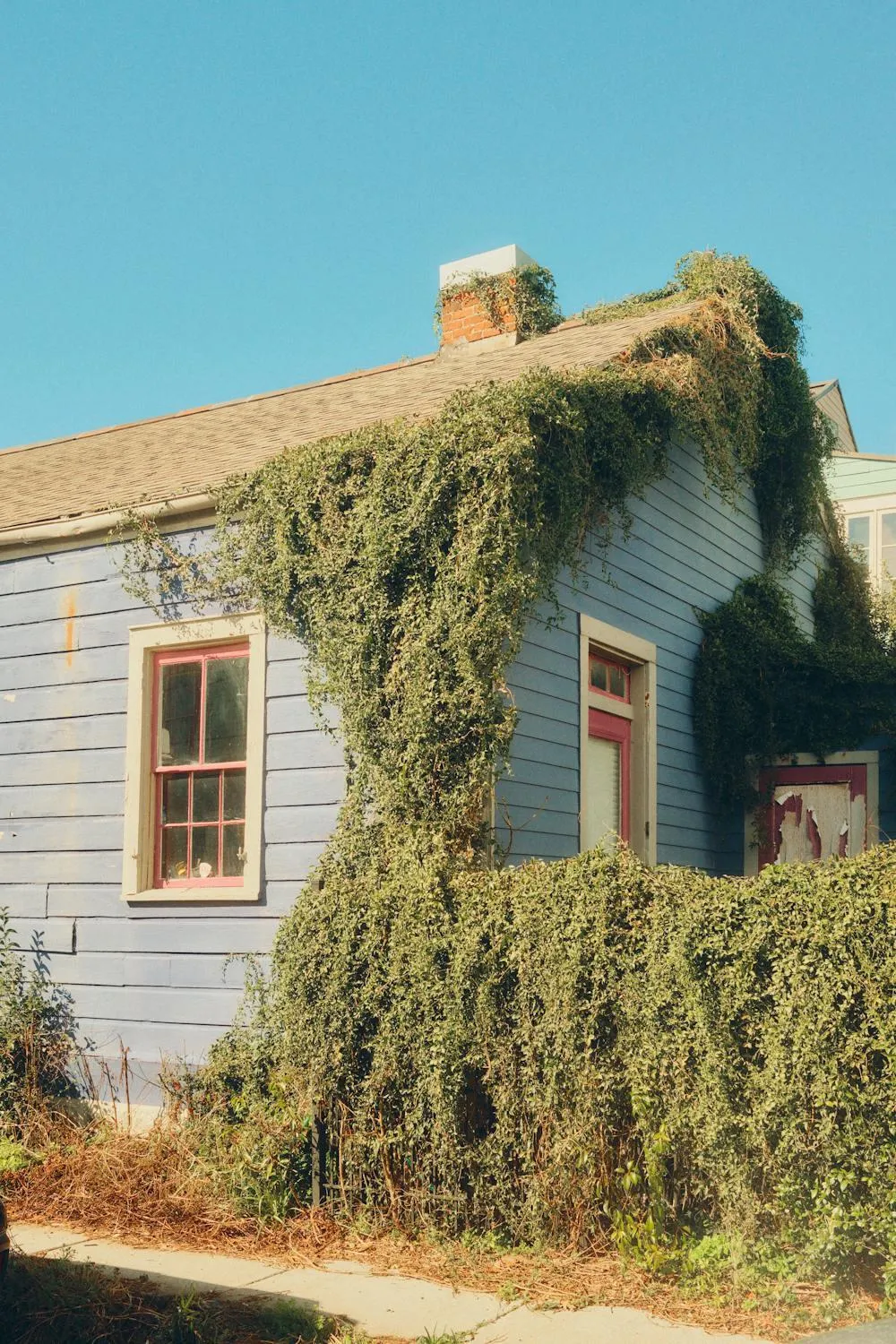 hidden gems in houma