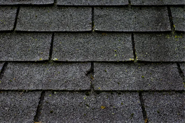The Telltale Signs You Are Due for a Roof Replacement