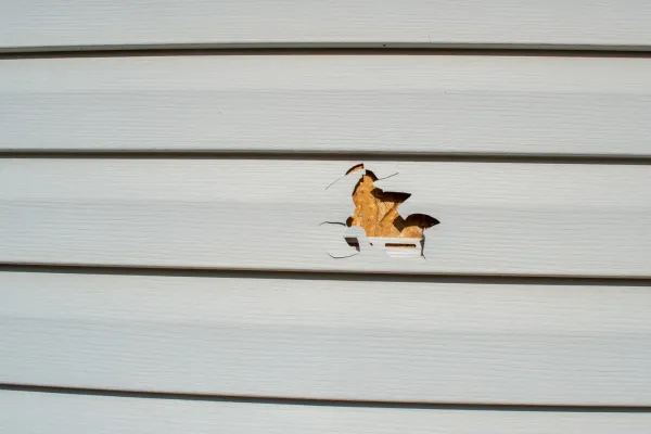 5 Signs Your Vinyl Siding Needs Repairs
