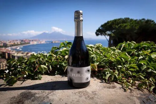 Campi Flegrei: Italy’s Hidden Volcanic Wine Treasure

