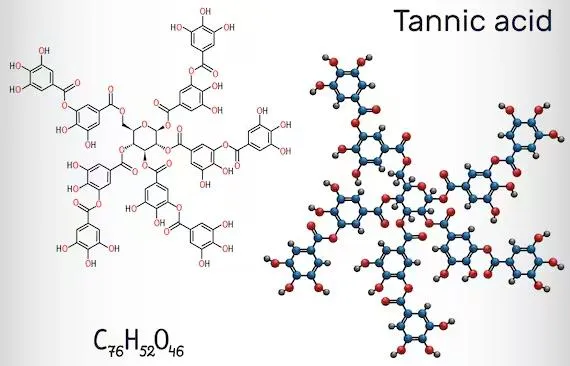 We’ve All Heard Them Called “Dry.” But What Does That Really Mean?
