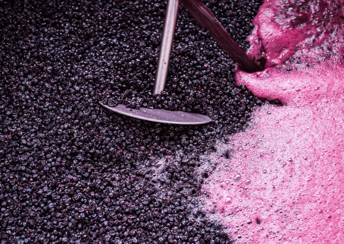 Why I Would NEVER Use Wild Fermentation