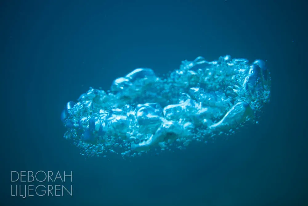 Blue bubbles in the shape of a halo