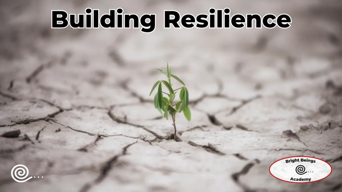 Building Resilience