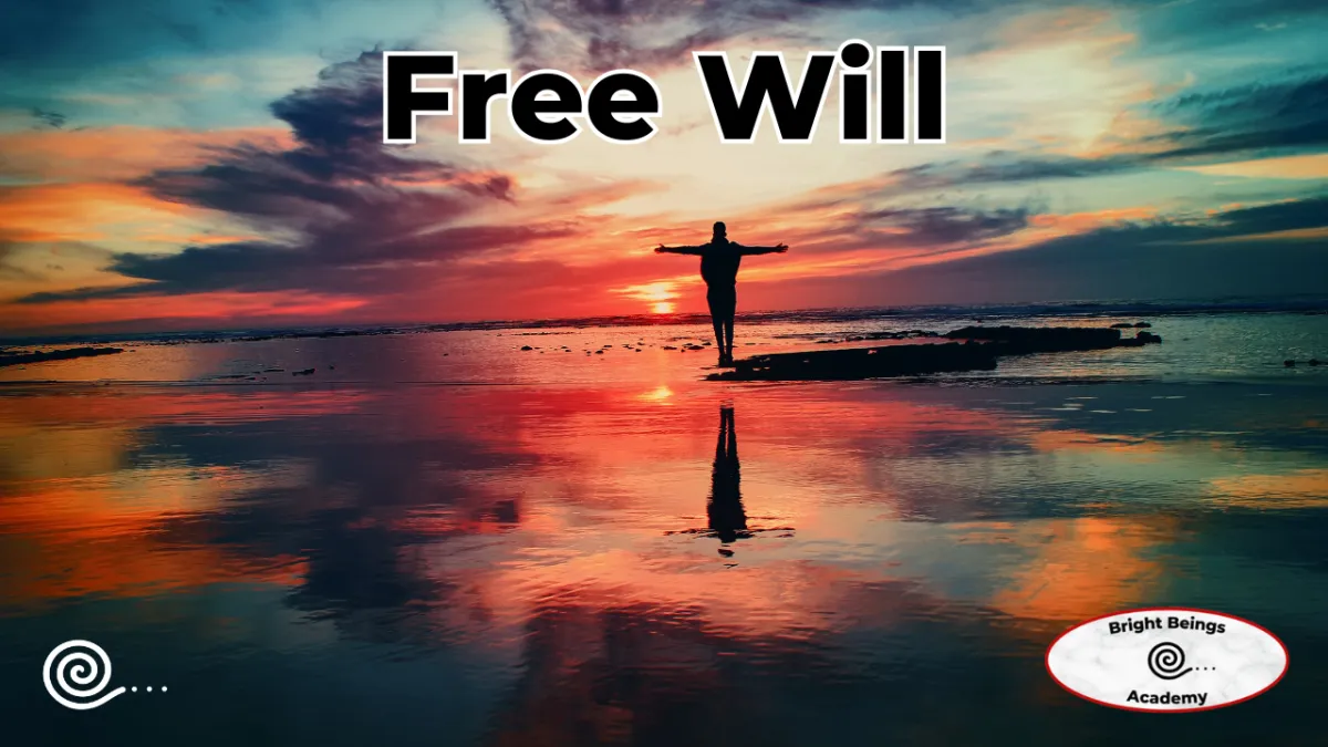 Free Will