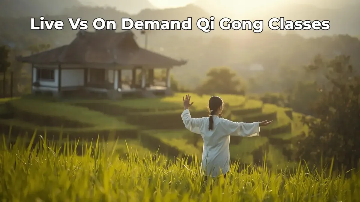Live vs On-Demand Qi Gong: Which Helps Beginners Stick With It?