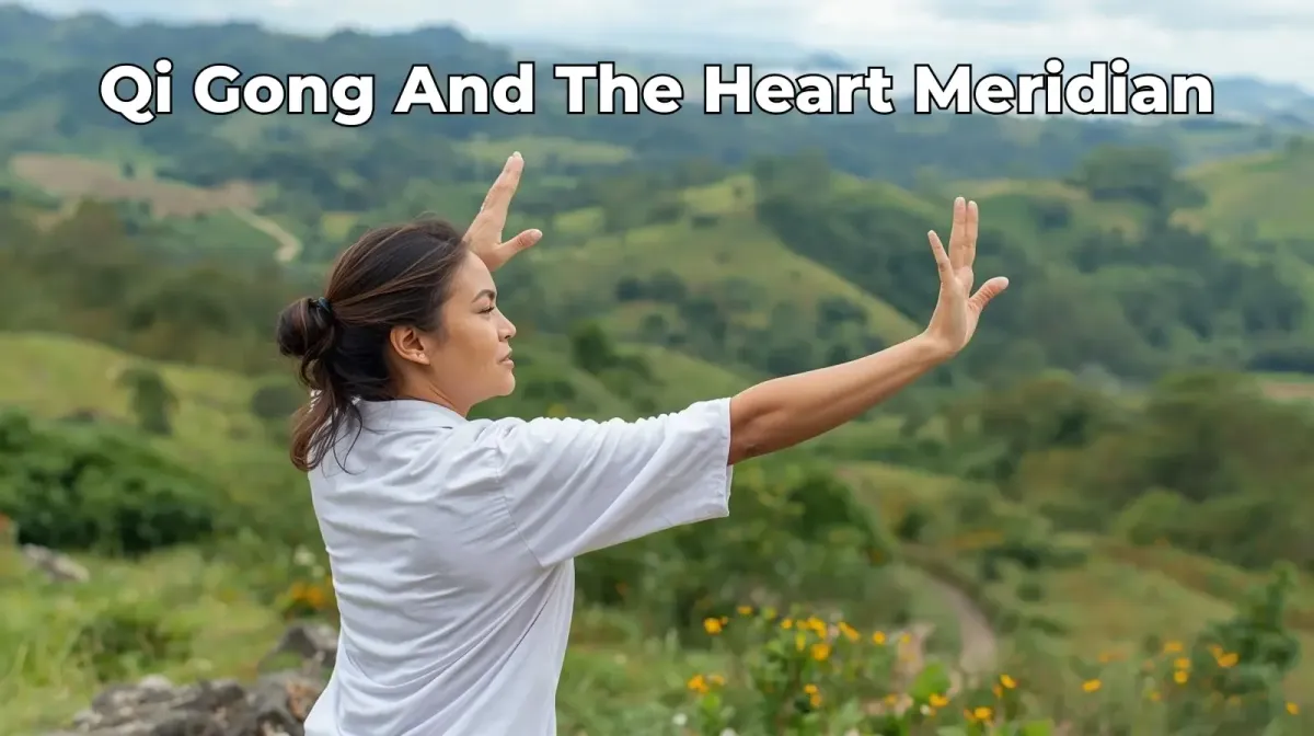 Heart Meridian (Xin) — Calm the Shen & Nourish Joy
