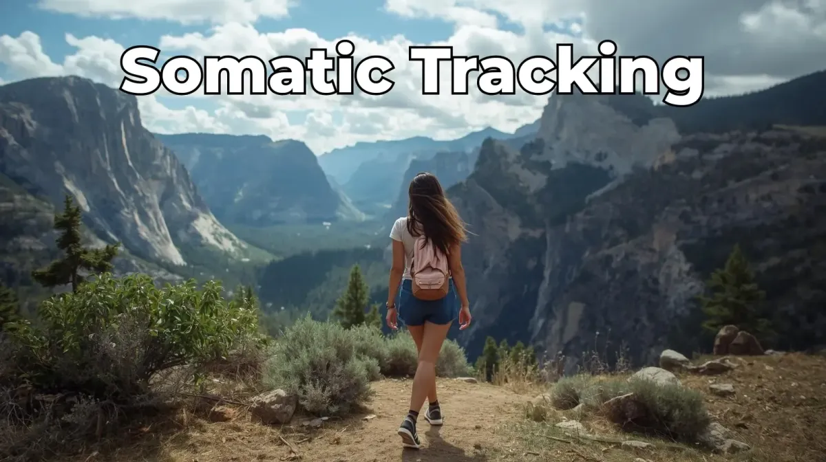 Somatic Tracking in Embrace: Feelings that Finally Move