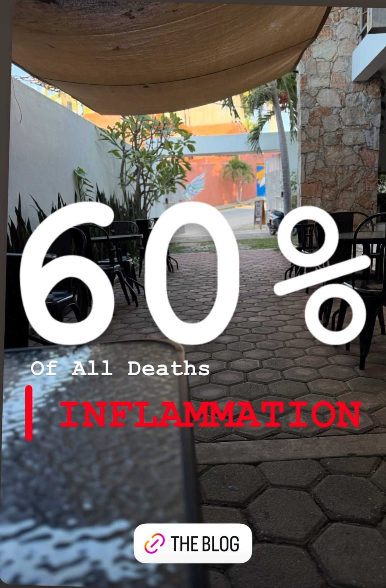 FLUSH NOW - Or science says..