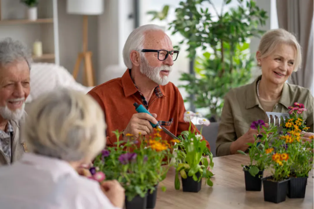What is assisted living?