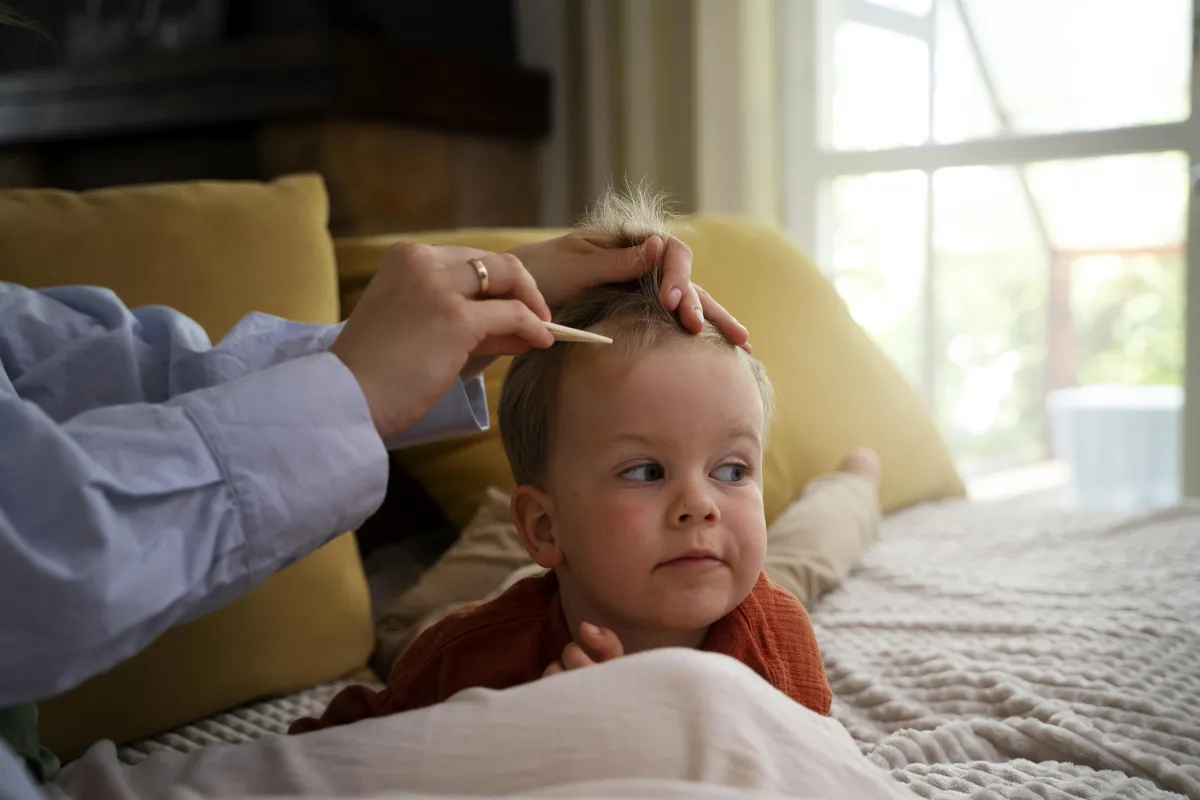  Do I Have to Clean My Whole House When One Child Has Lice? 