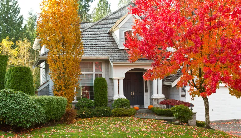 Fall Home