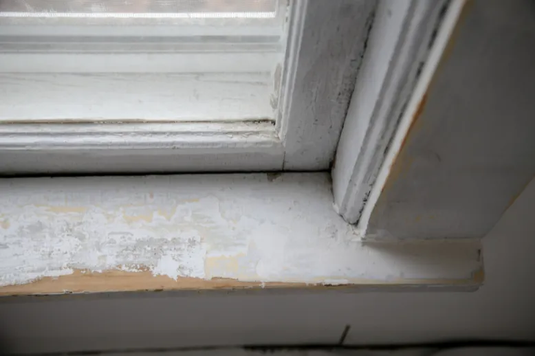 Lead based paint