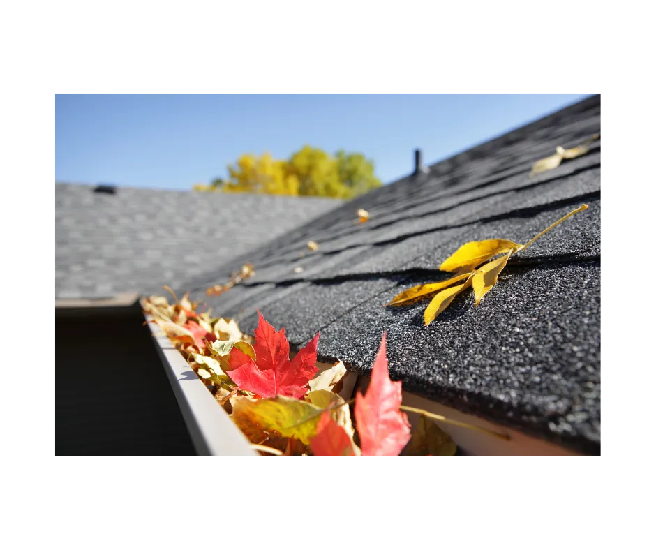 Gutter guard or annual cleaning?
