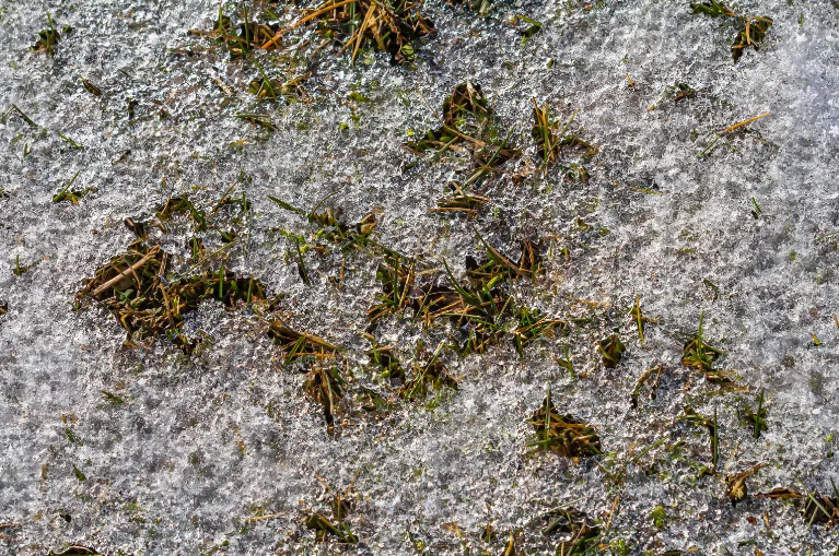 What Happens to Your Home When the Ground Thaws