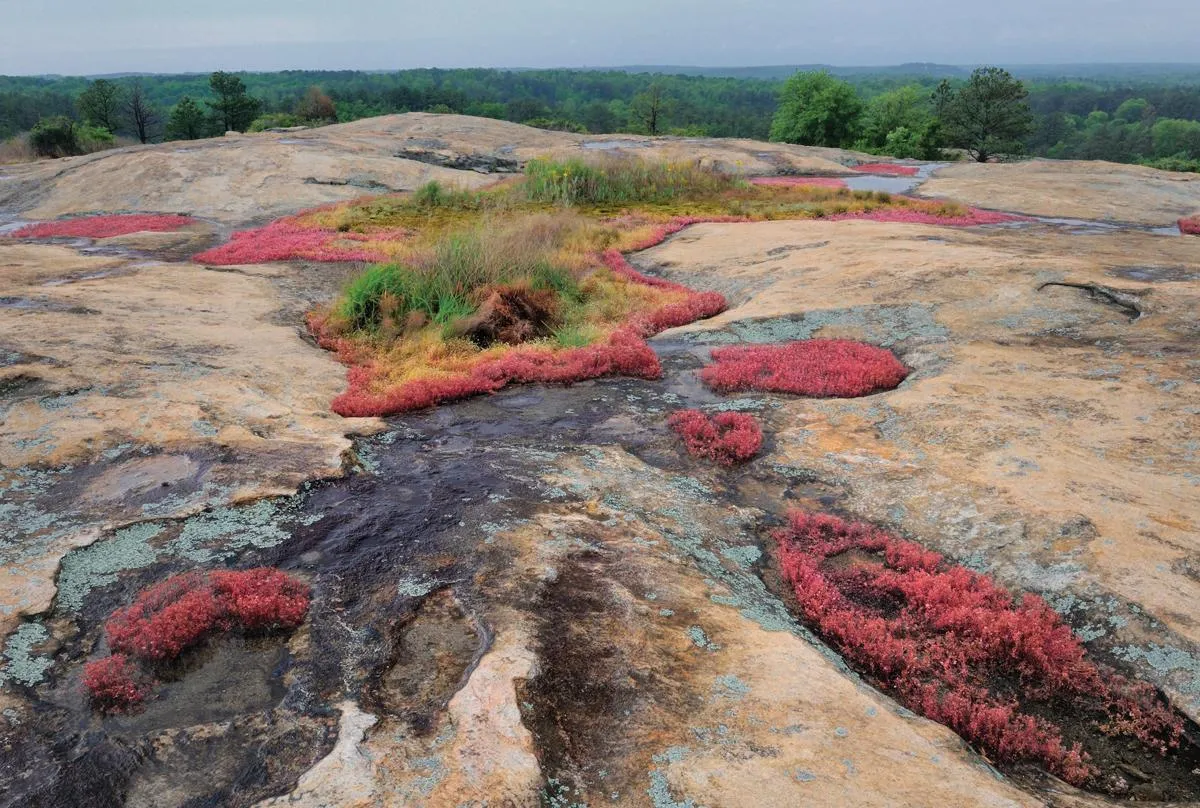 Arabia Mountain: Atlanta’s Most Unexpected Adventure