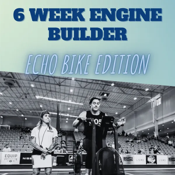Echo Bike