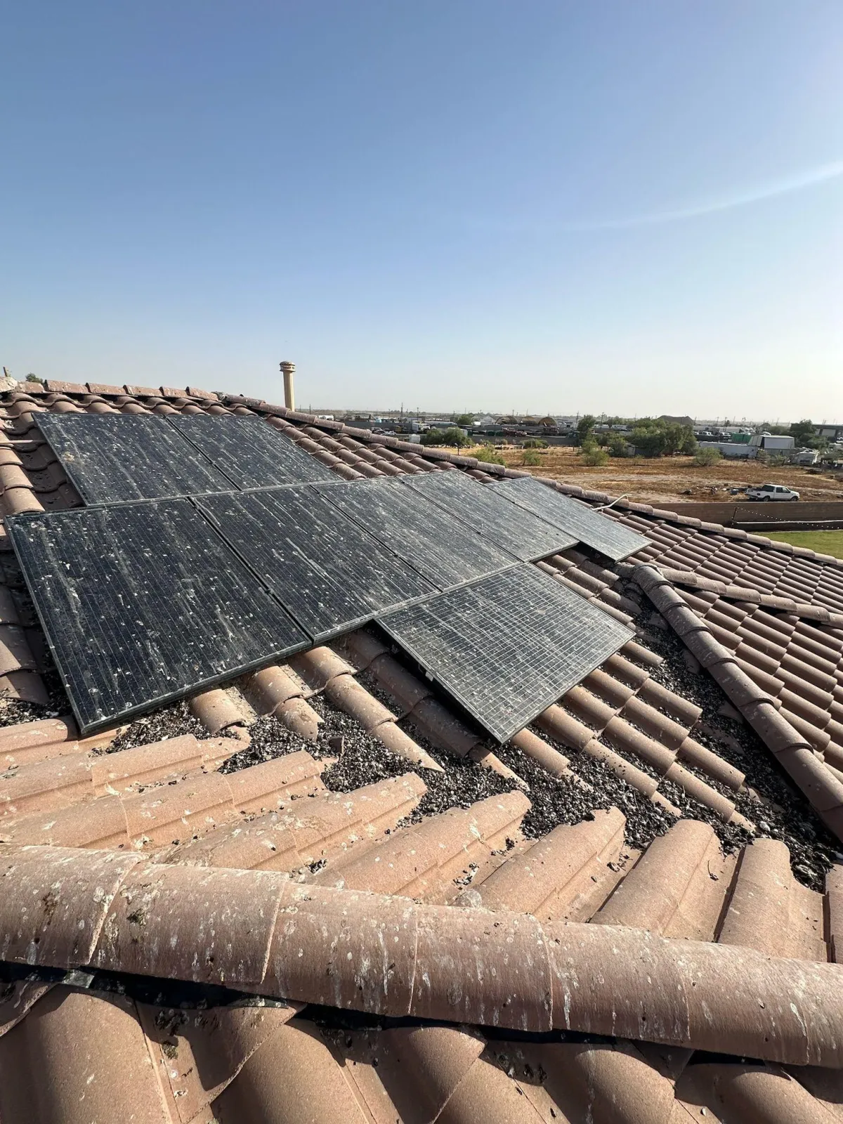 Pigeon Infested Solar System