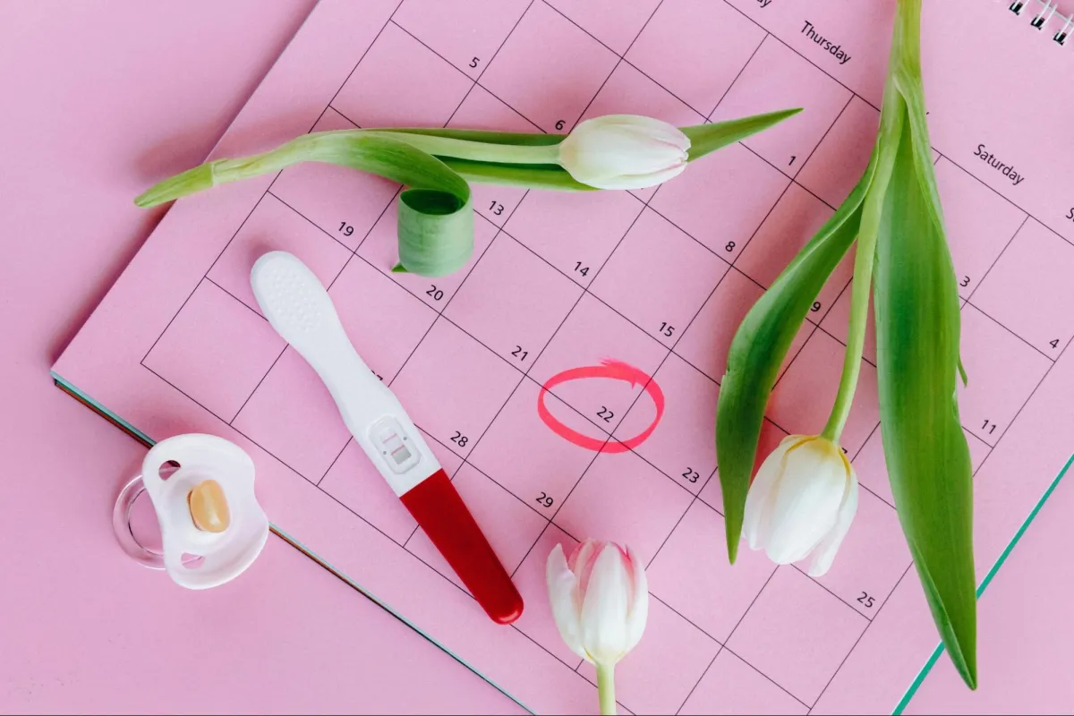 Calendar with Pacifier, Flowers and Pregnancy Test