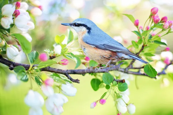 Spring is a great time to sell your home.