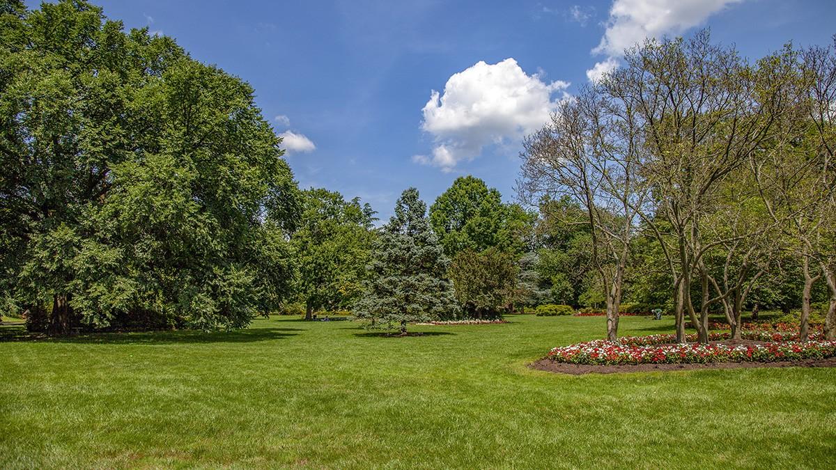 Escape to Guilford Park: Baltimore’s Hidden Gem for Nature Lovers and Locals