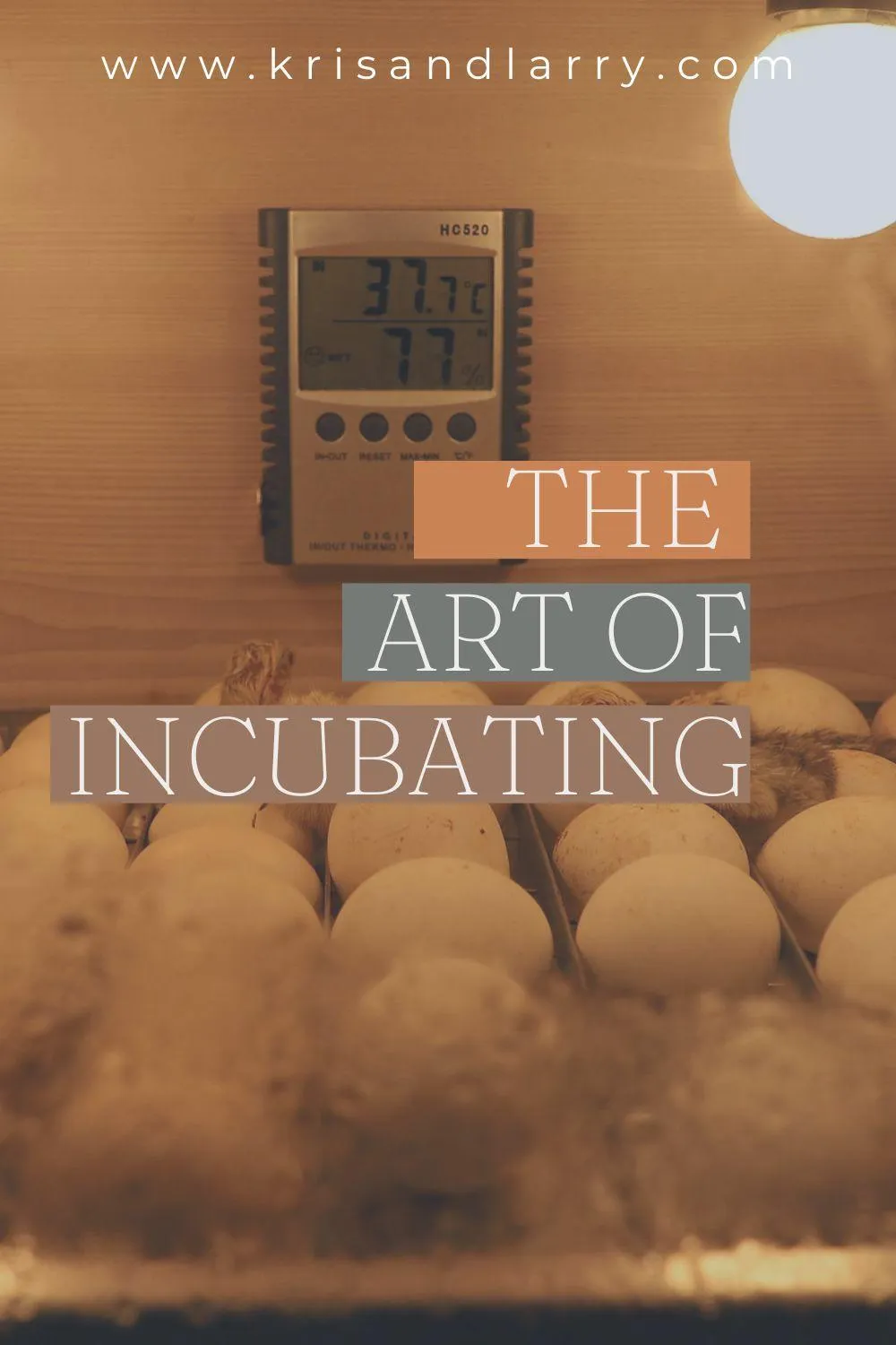 The Art of Incubating