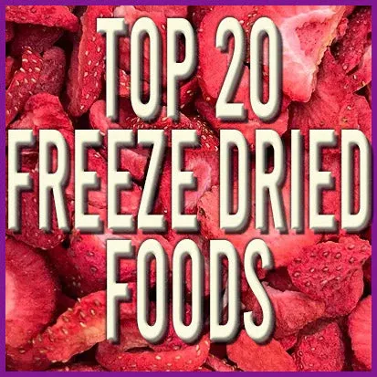 Top Freeze Dried Foods