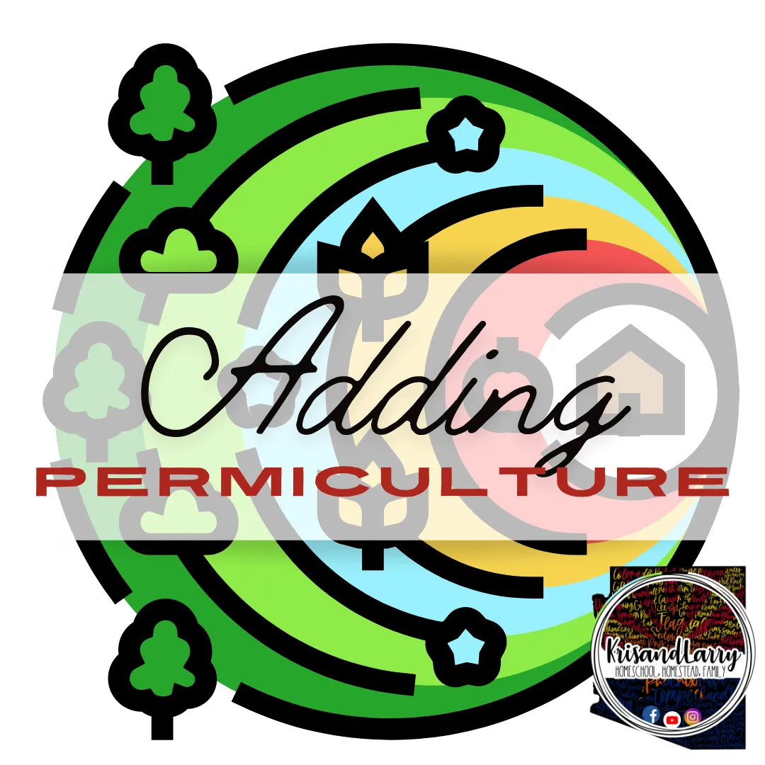 Permaculture Introduction