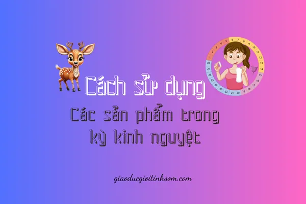 Cách sử dụng các sản phẩm trong kỳ Kinh nguyệt