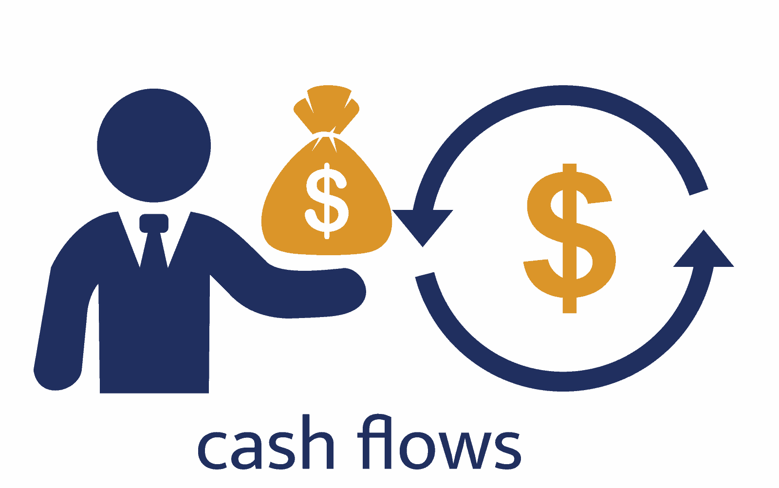 What is a Cash Flow Statement