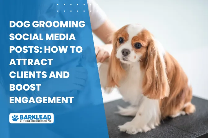 Dog Grooming Social Media Posts: How to Attract Clients and Boost Engagement