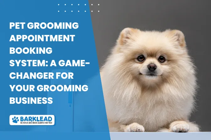 Pet Grooming Appointment Booking System: A Game-Changer for Your Grooming Business