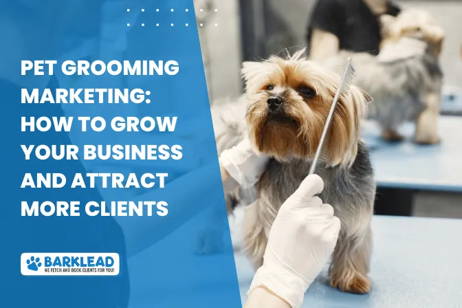 Pet Grooming Marketing: How to Grow Your Business and Attract More Clients