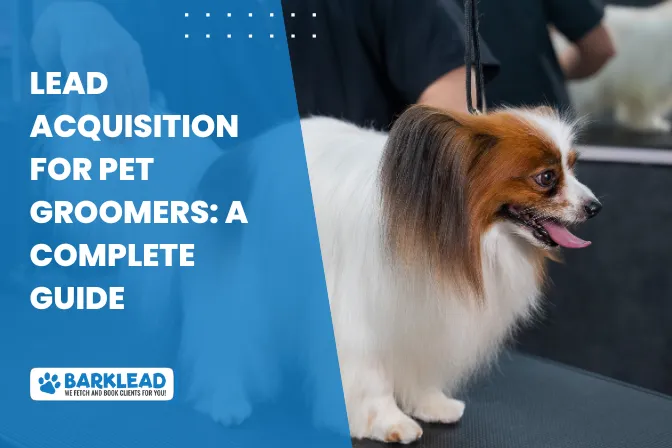 Lead Acquisition for Pet Groomers: A Complete Guide to Growing Your Client Base