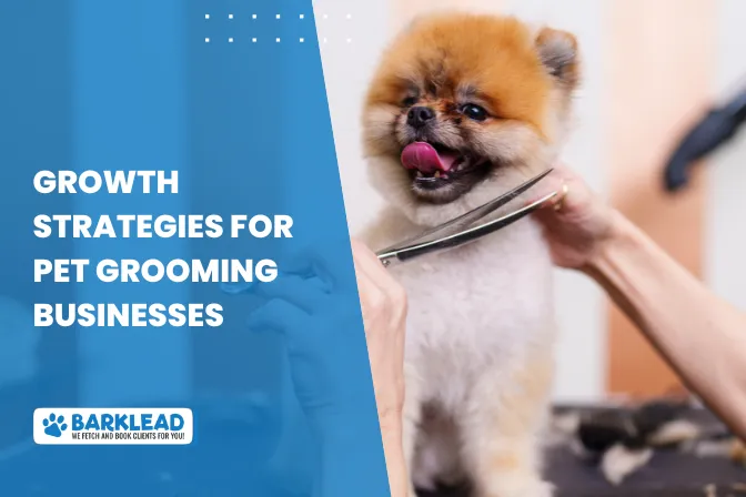Growth Strategies for Pet Grooming Businesses: Tips to Scale Your Success