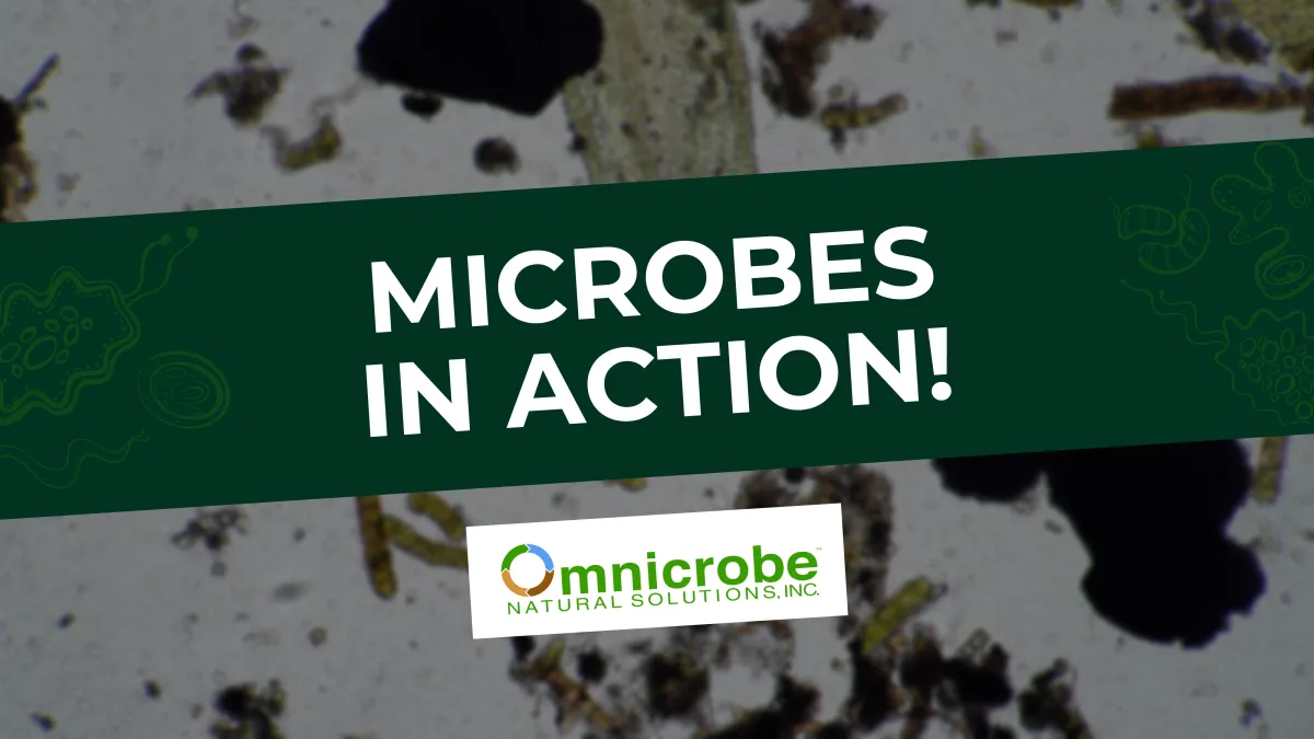 NPK²: The Future of Sustainable Agriculture with Microbial Soil Enhancement