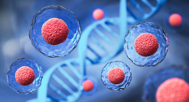 What are stem cells?