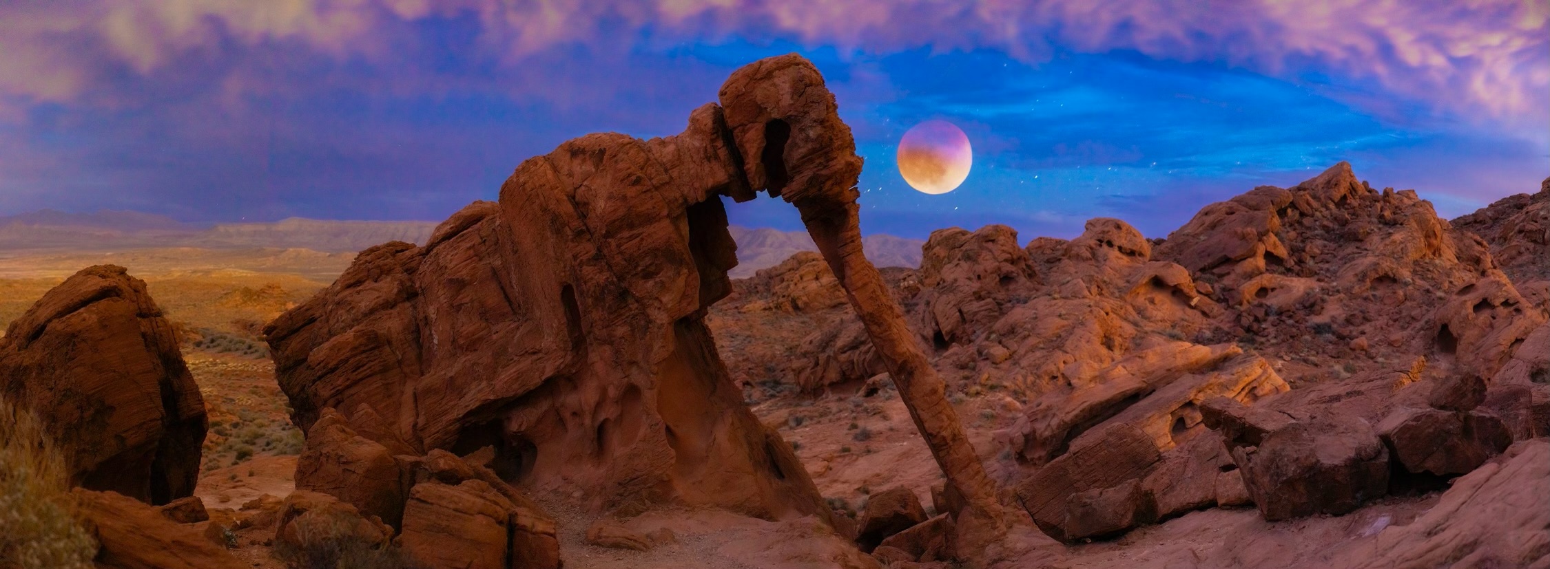 Holistic Health vs Traditional Medicine