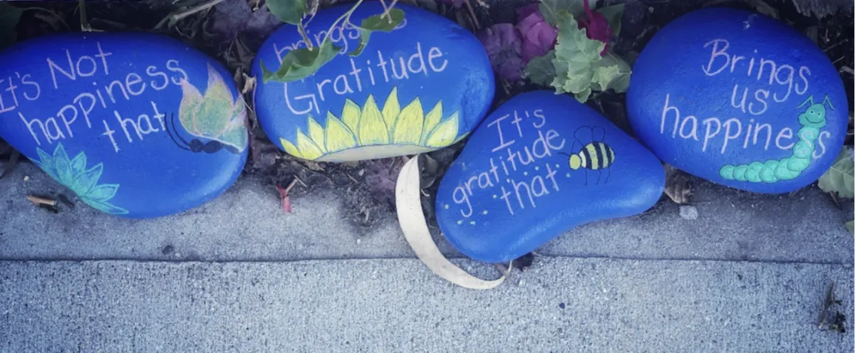 Spotlight on Gratitude