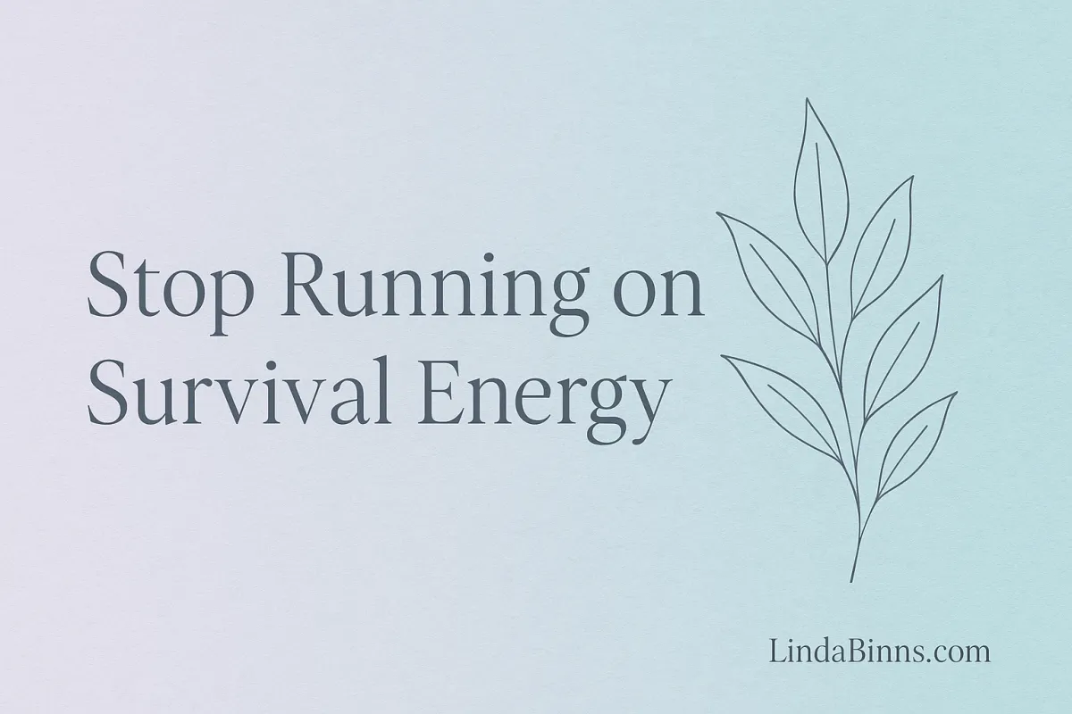  Survival Energy