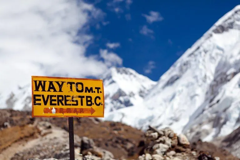 Everest12: The Complete Growth Plan for Your IT Services Business