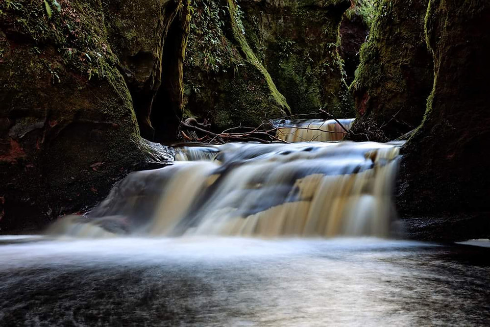 Three words that help foster wellbeing: compassion, empathy and understanding