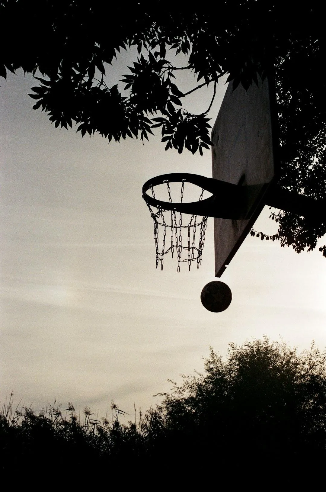 The Power of Rebounding: Why Success Belongs to Those Who Get Back Up