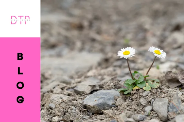 Transform Through Tenacity: How Grit Builds a Business That Lasts
