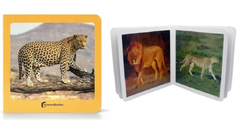 Libros-visuales-infantil