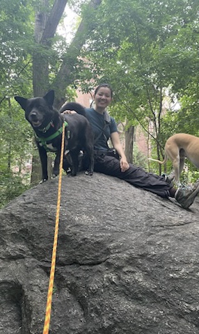 Black fluffy dog and young woman on a rock