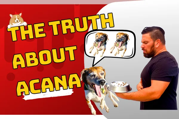 Cover graphic of acana dog food review 