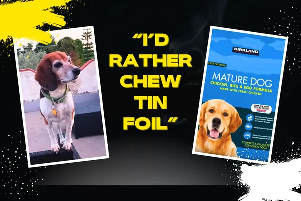 Senior dog food bad for dogs graphic